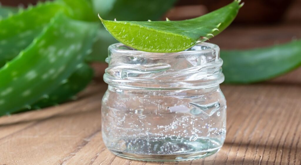 les bienfaits du gel d'aloe vera