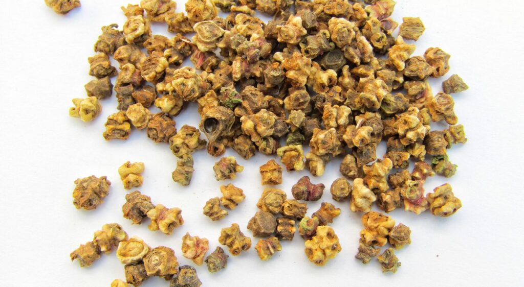 graines de betterave