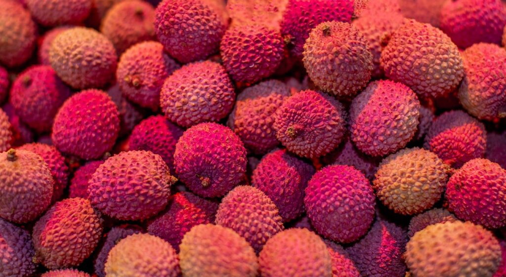 Litchi fruit