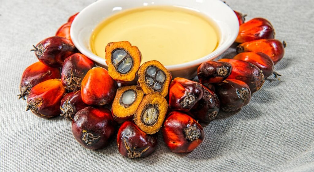 huile de palme
