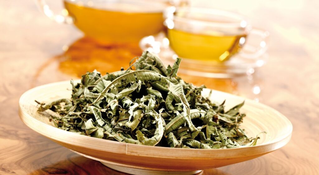 tisane de verveine
