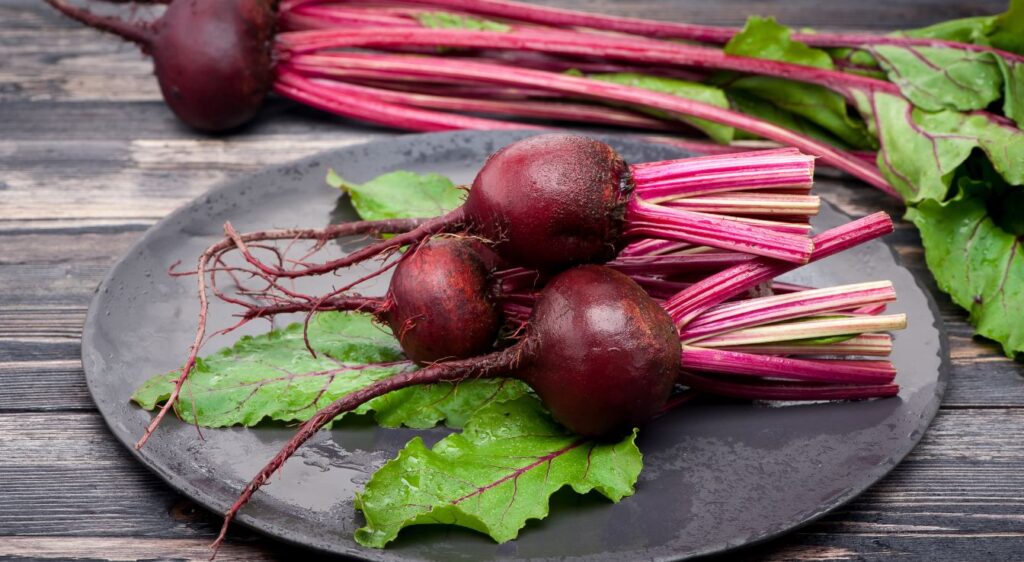 Salade de betterave rouge