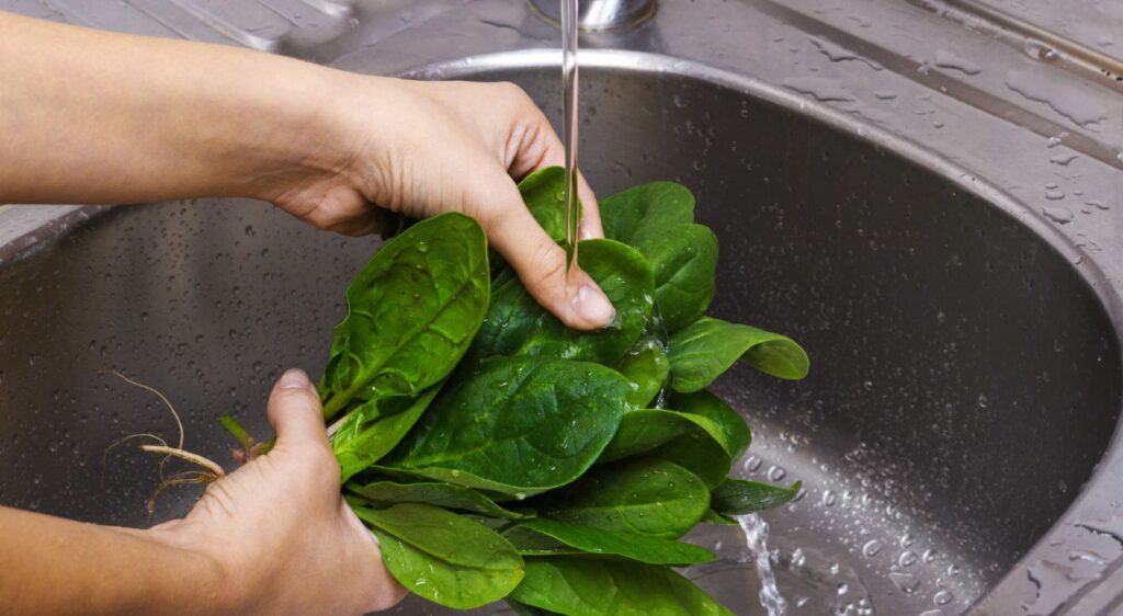Tarte aux épinards recette
