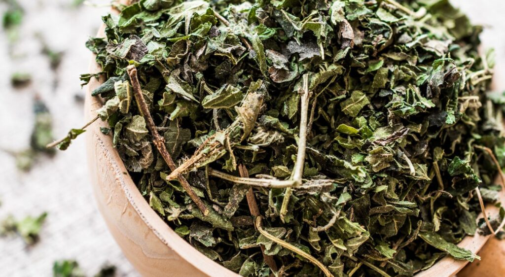 ortie bienfaits cheveux