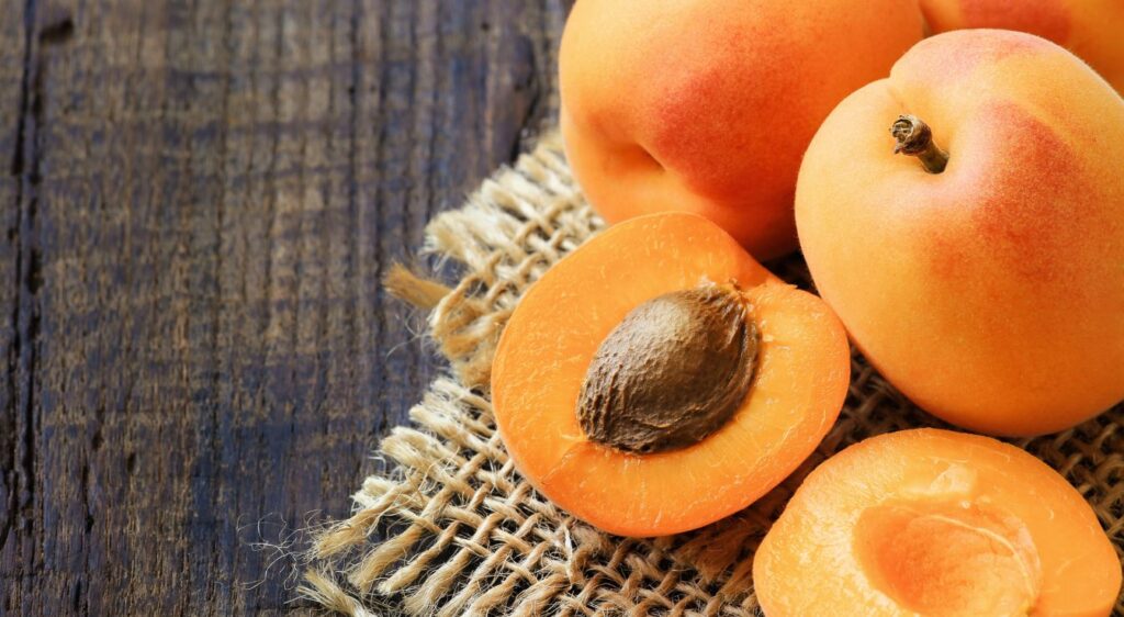 confiture d'abricots