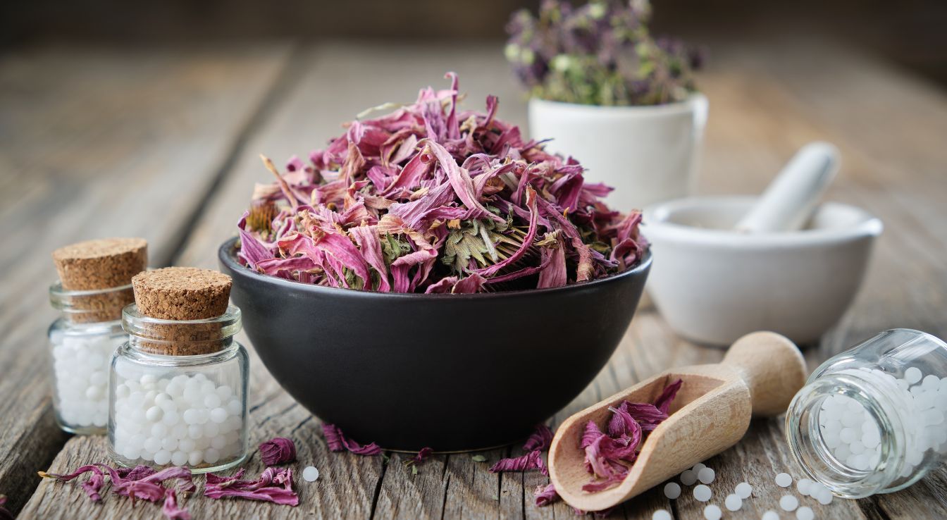 echinacea angustifolia homéopathie