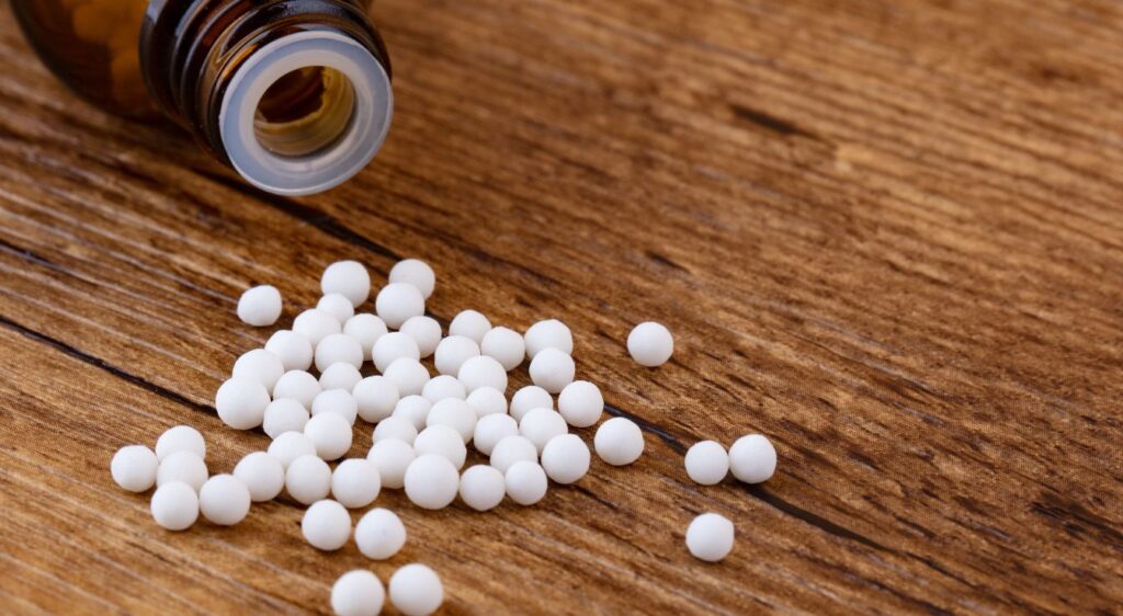 echinacea angustifolia homeopathie