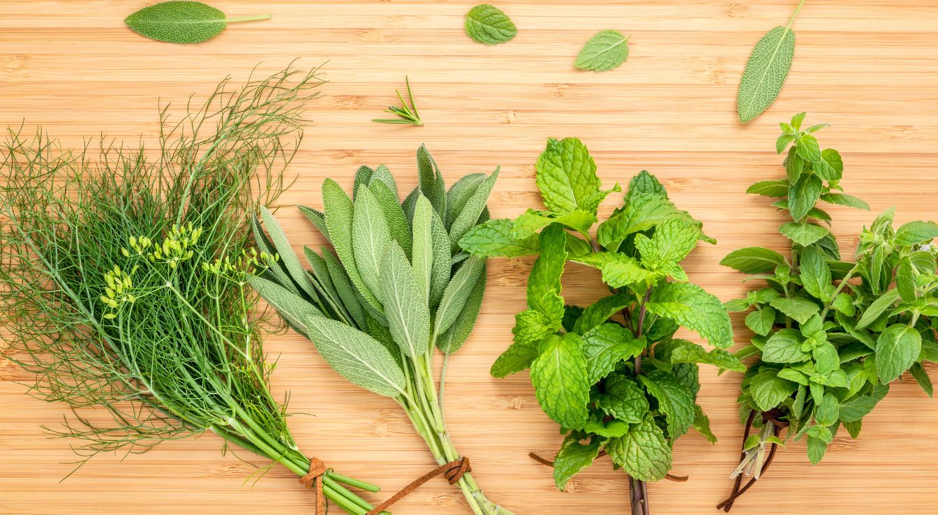 plante aromatique cuisine