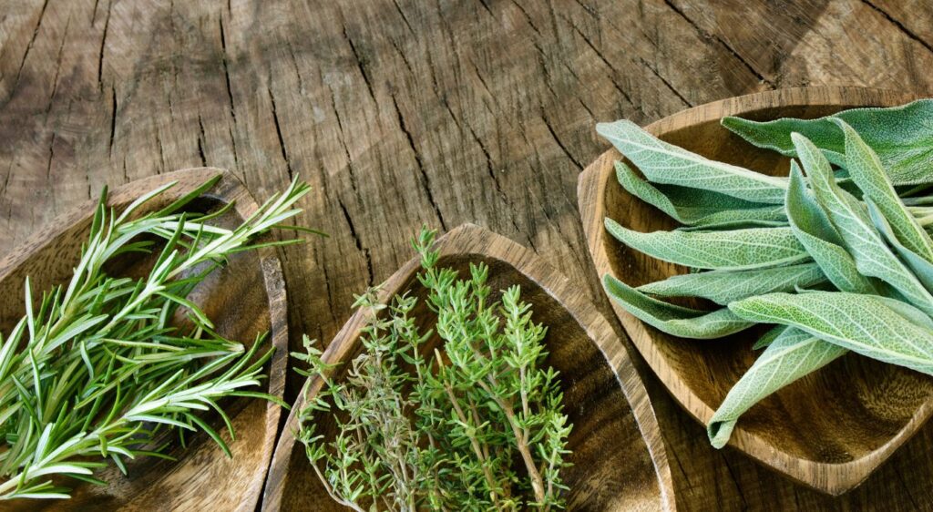 Herbes aromatiques usage