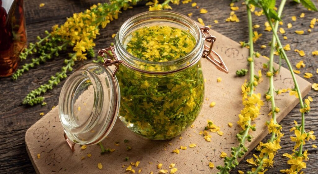 aigremoine fleur de bach