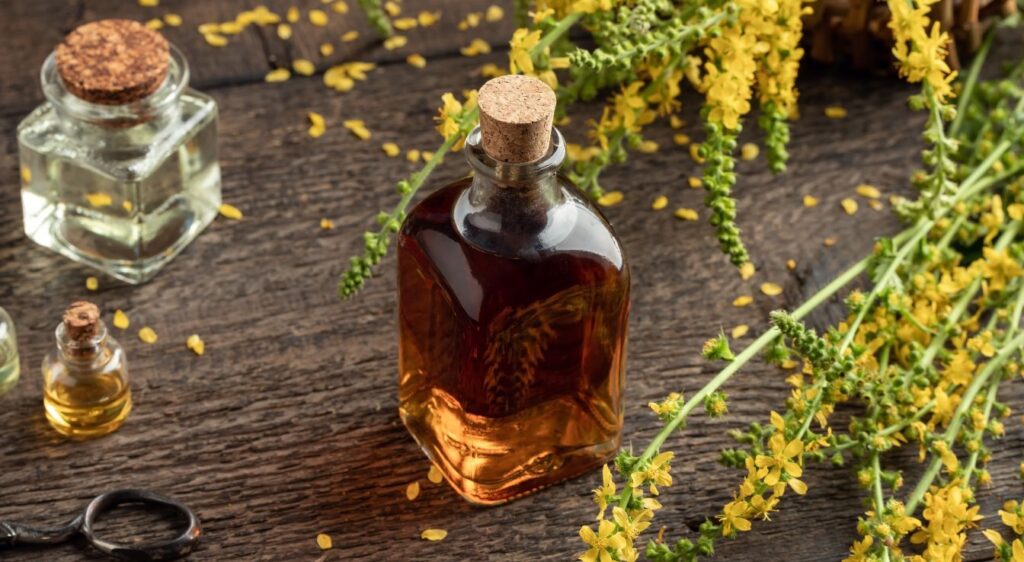 aigremoine bienfaits