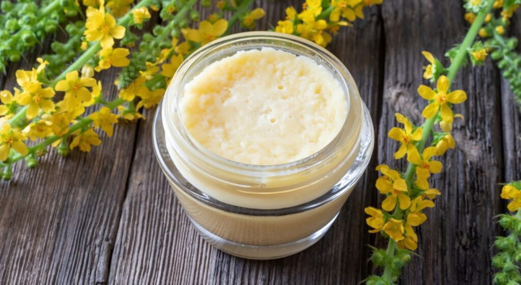 bienfaits aigremoine