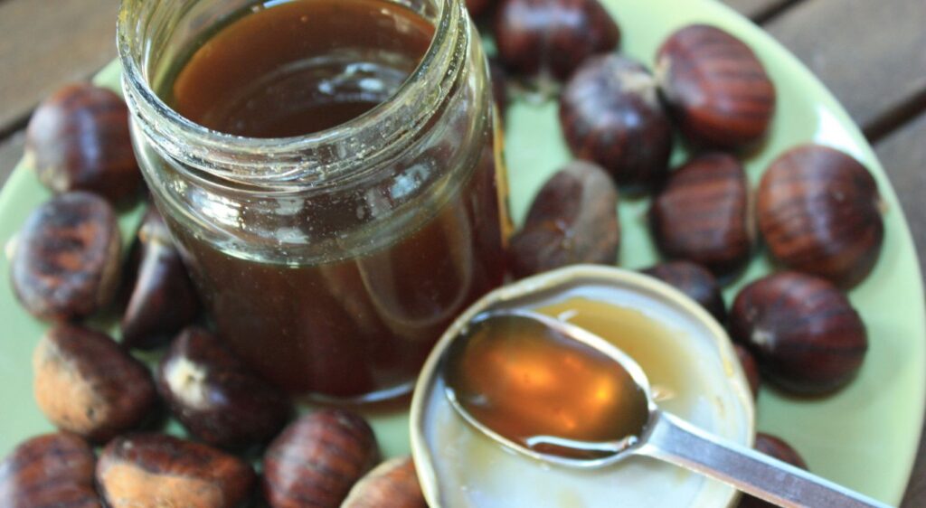 miel de châtaignier bienfaits