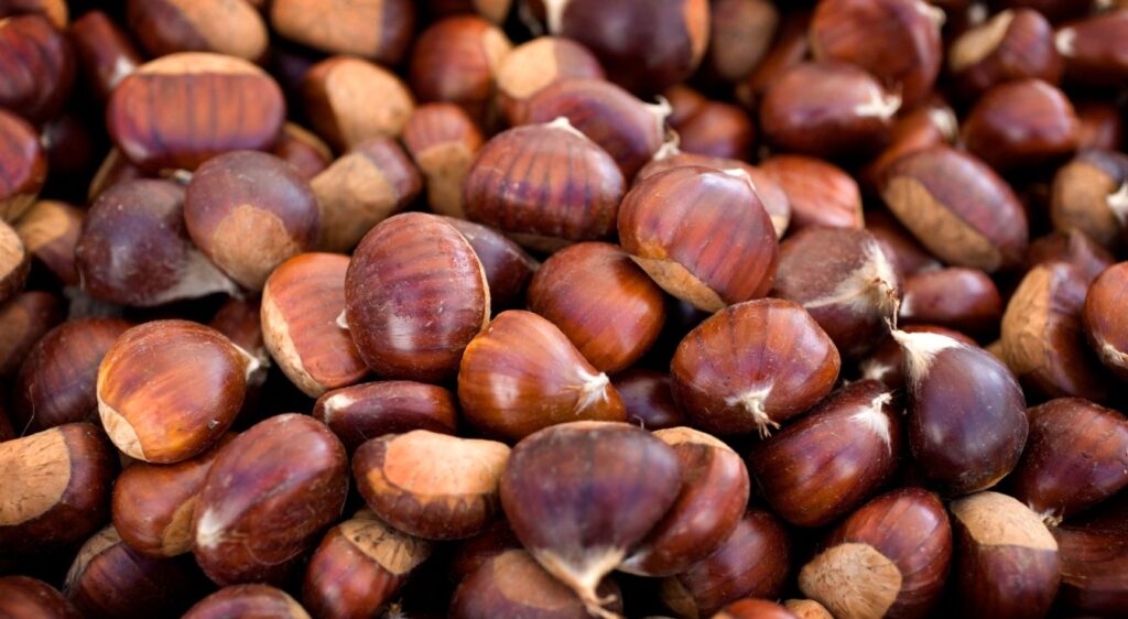 châtaignes au four temps de cuisson