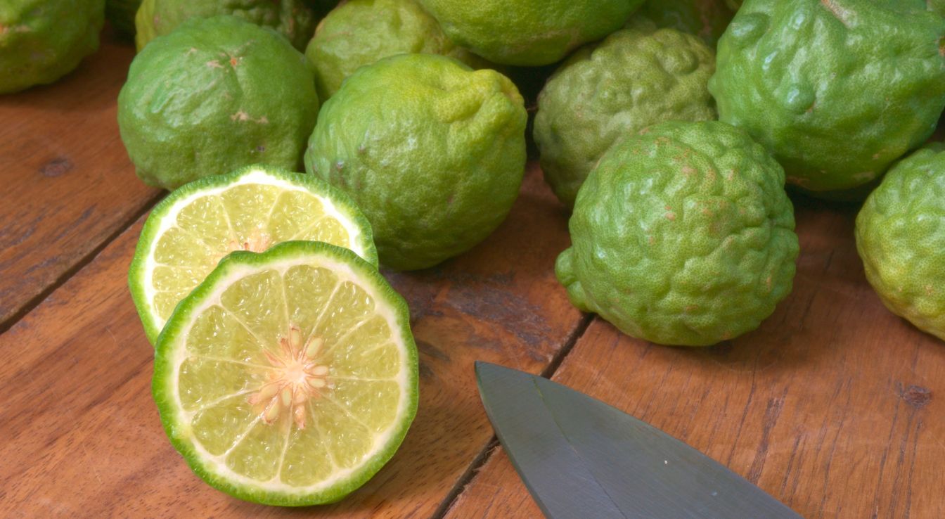 Combava Citron Combava : Histoire, Variétés Et Importance économique