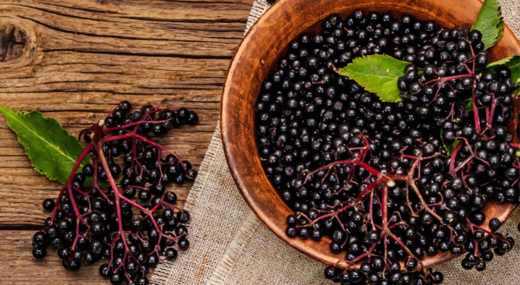 confiture de sureau recette