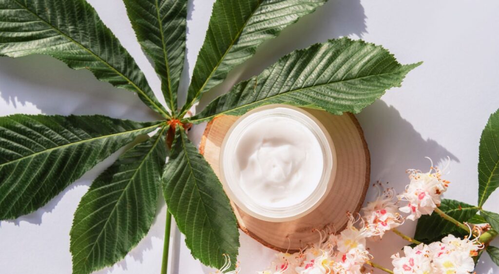 feuille de chataignier bienfaits