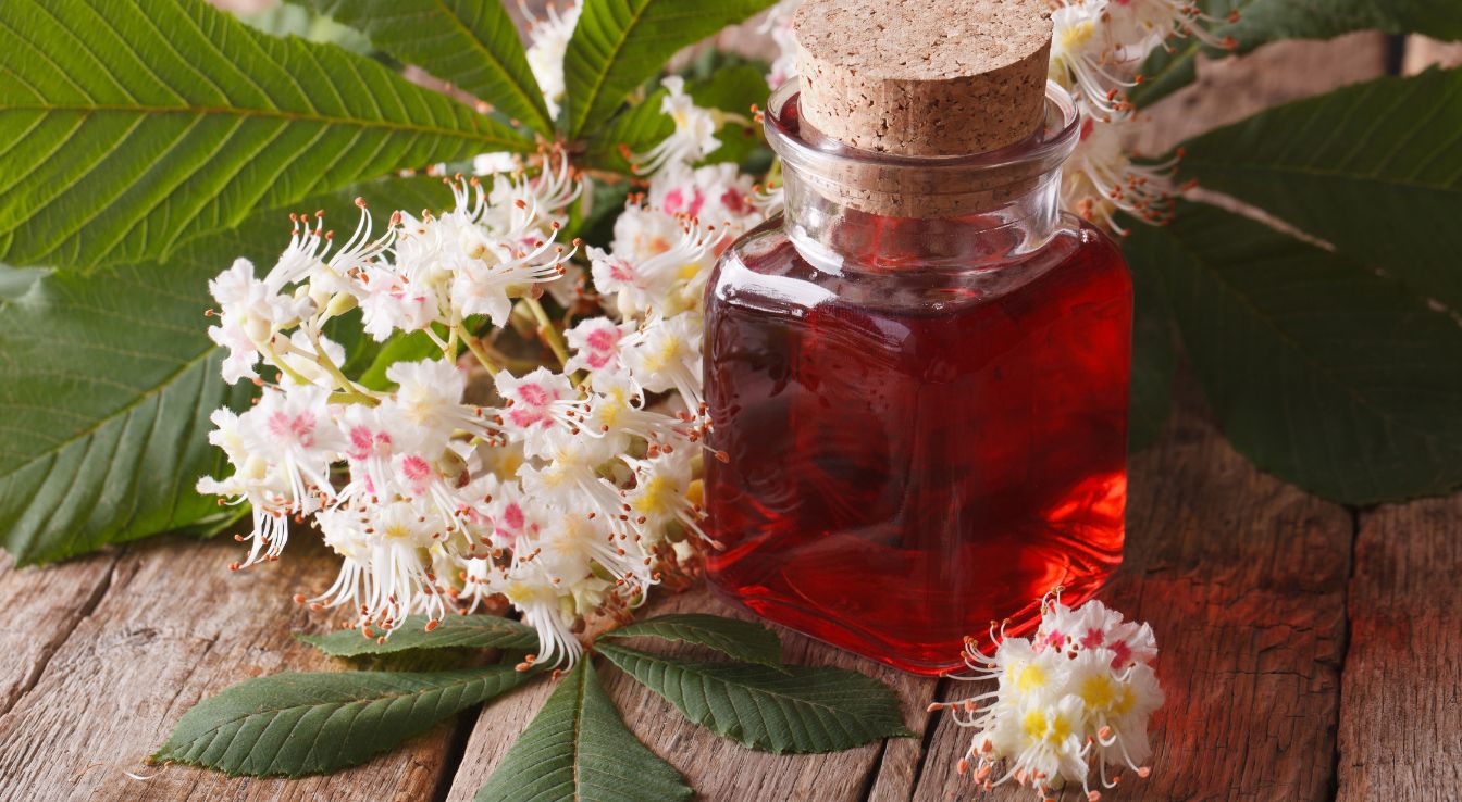 bienfaits feuille de chataignier​