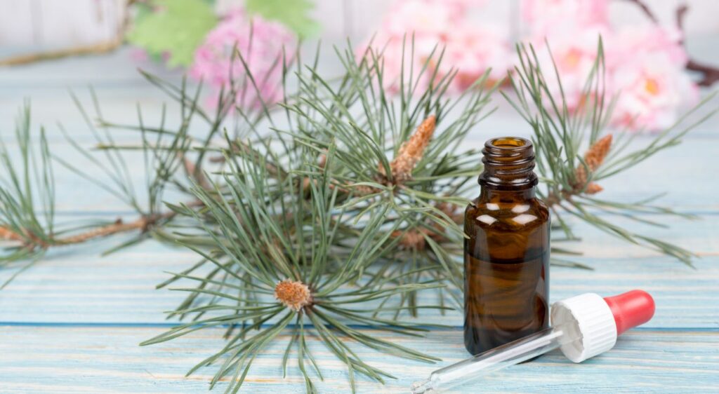 fleurs de bach perte de poids pine