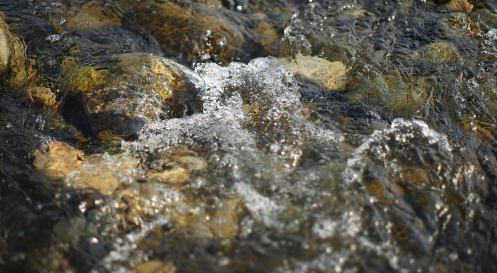 fleurs de bach perte de rock water