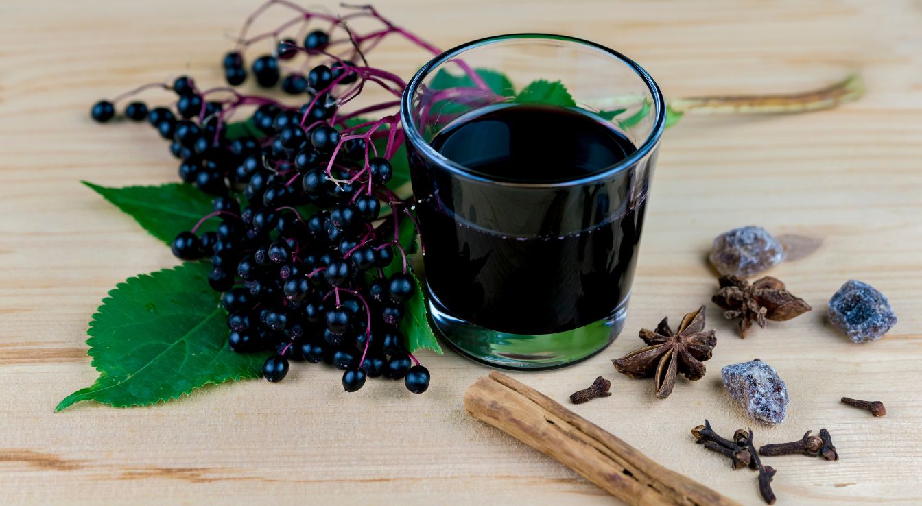 jus de sureau recette