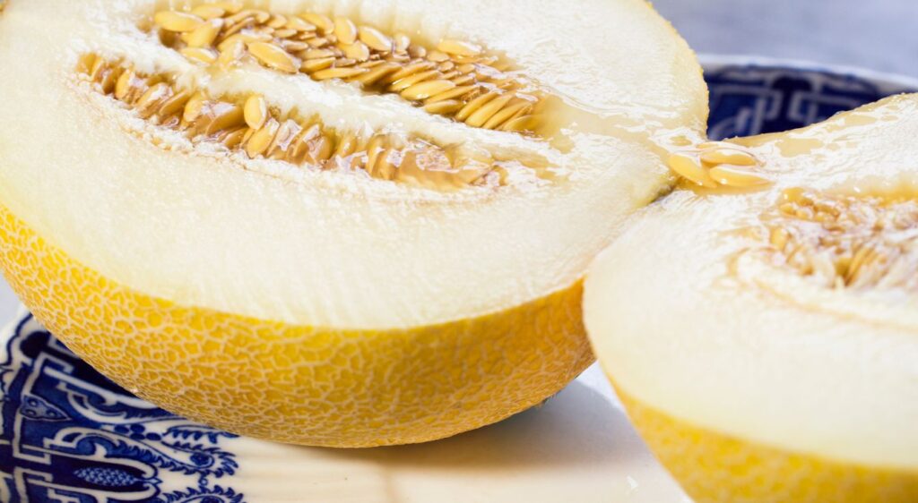 variétés de melon comment choisir un melon jaune