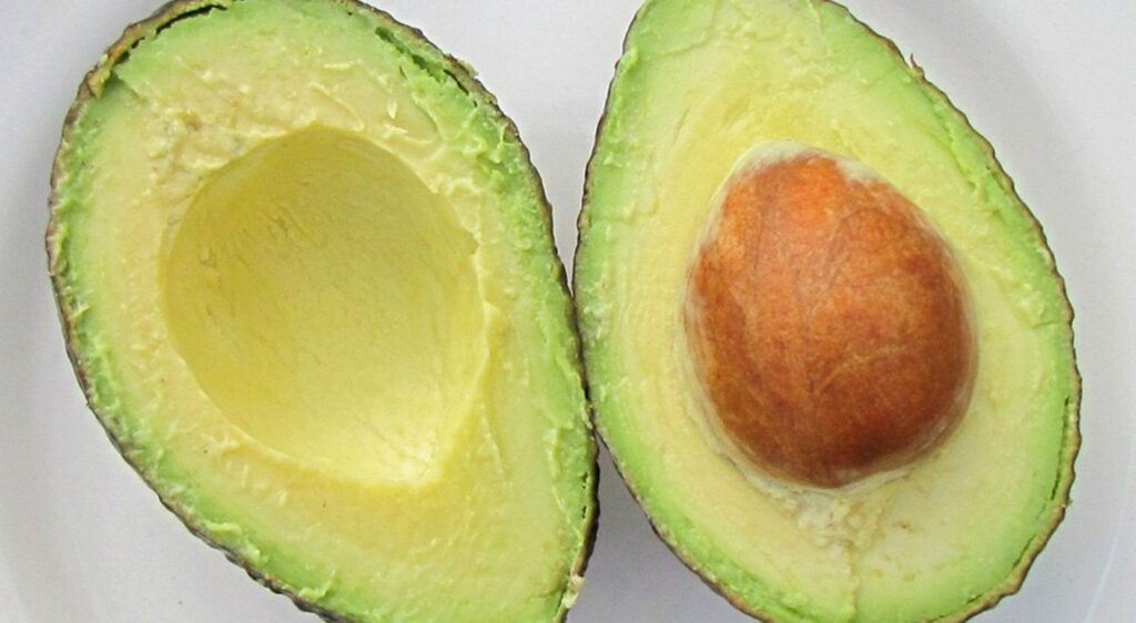 salade avocat crevette pamplemousse