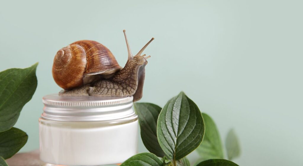 bave d’escargot acné