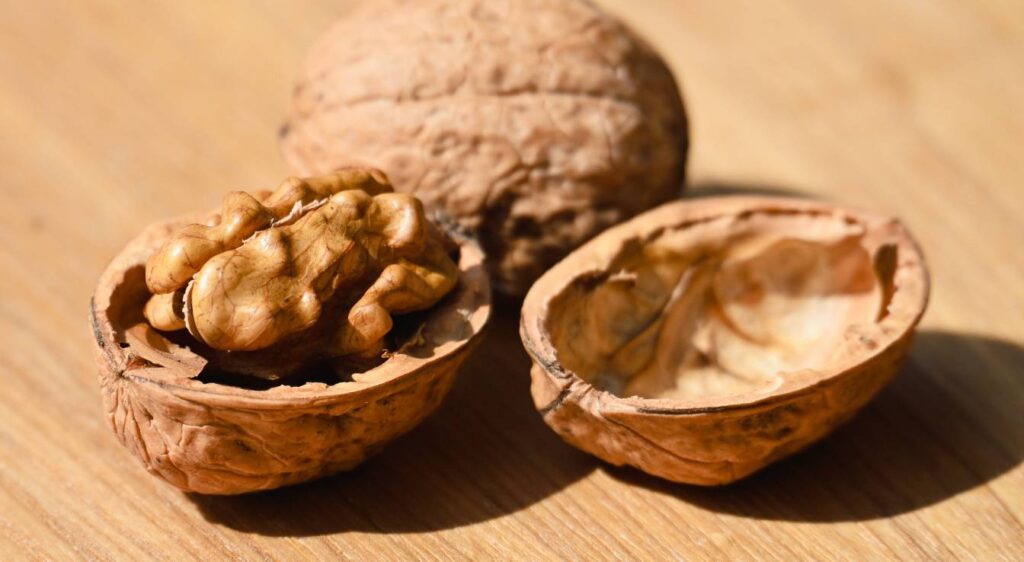 les Bienfaits des noix