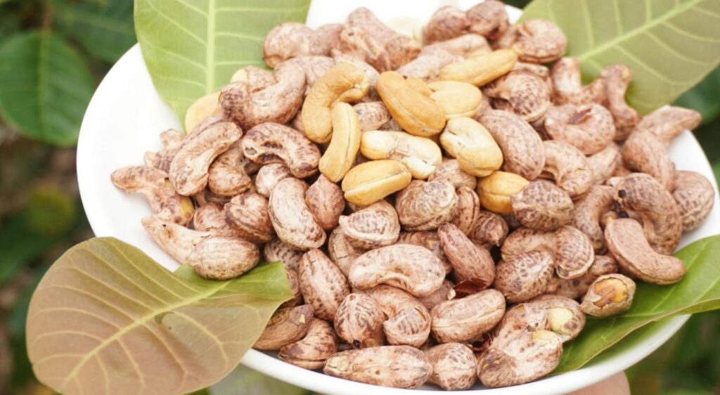 bienfaits noix de cajou