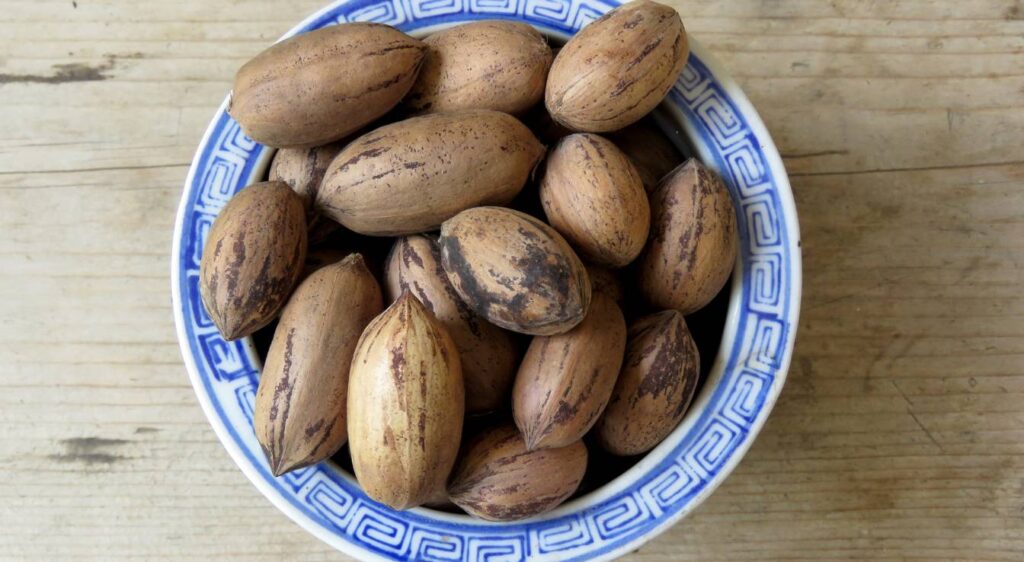 bienfaits des noix de pécan