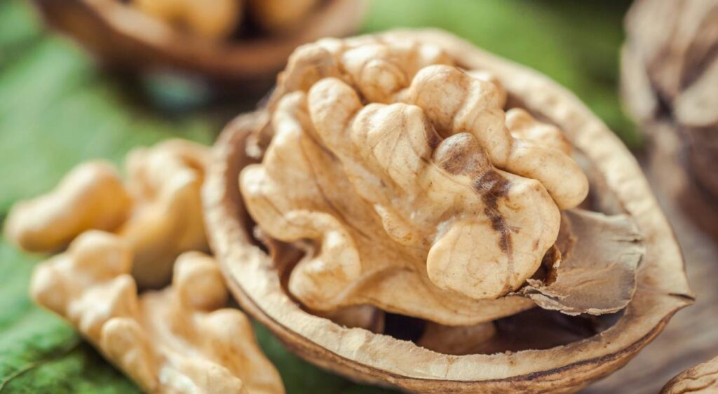 cerneaux de noix bienfaits