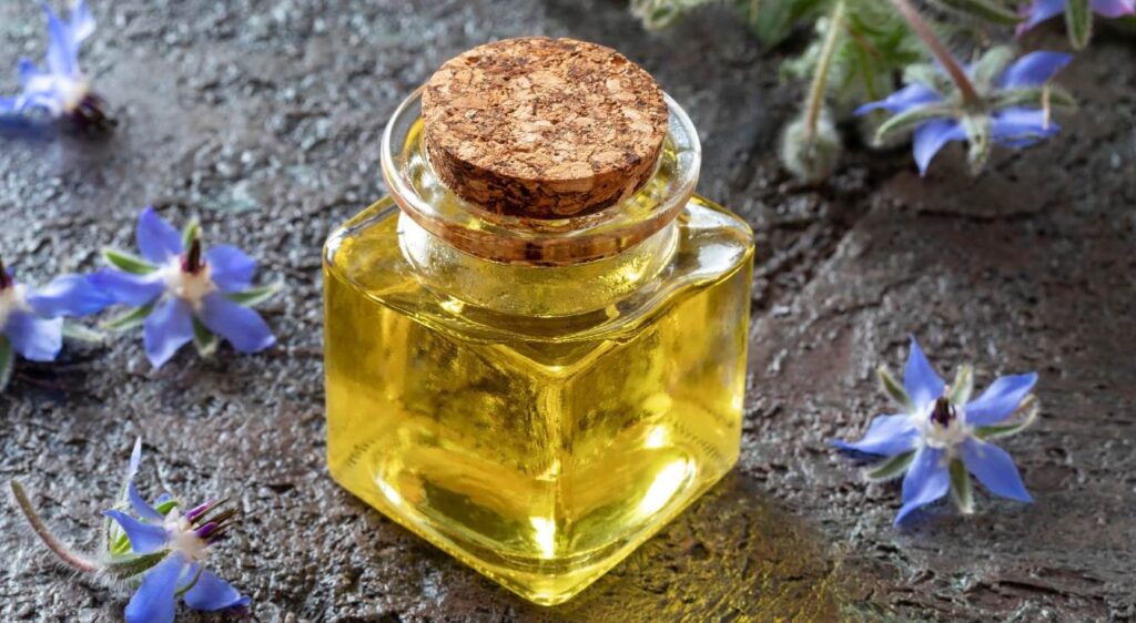 huile de bourrache bienfait