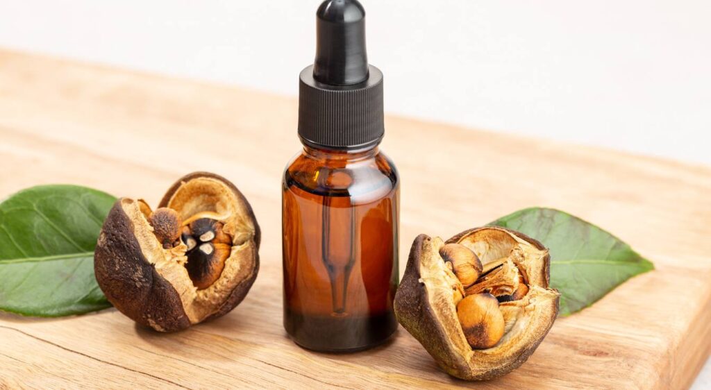 huile de camélia bienfaits