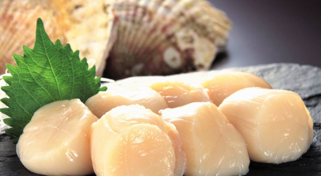 noix de saint jacques snackées