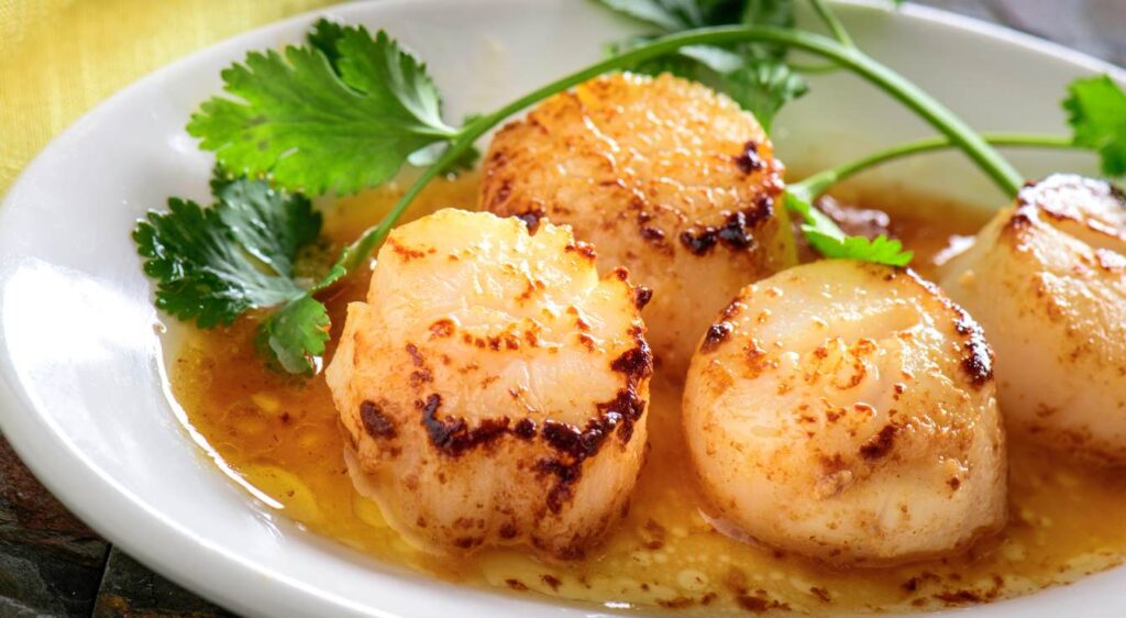 snacker saint jacques