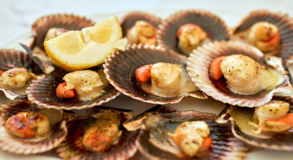 saint jacques au four