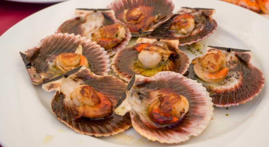 coquilles saint-jacques au four simple