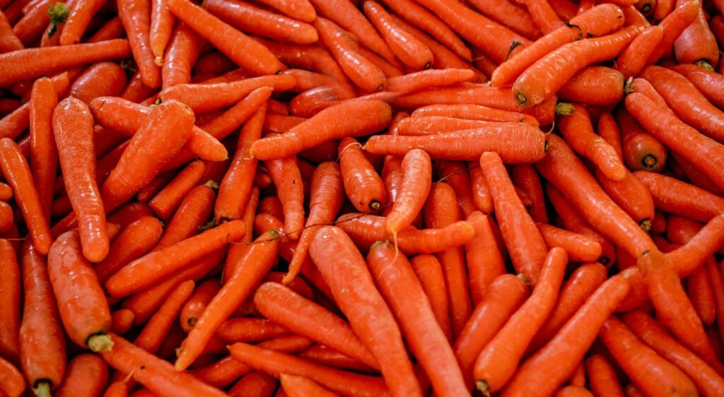 carottes