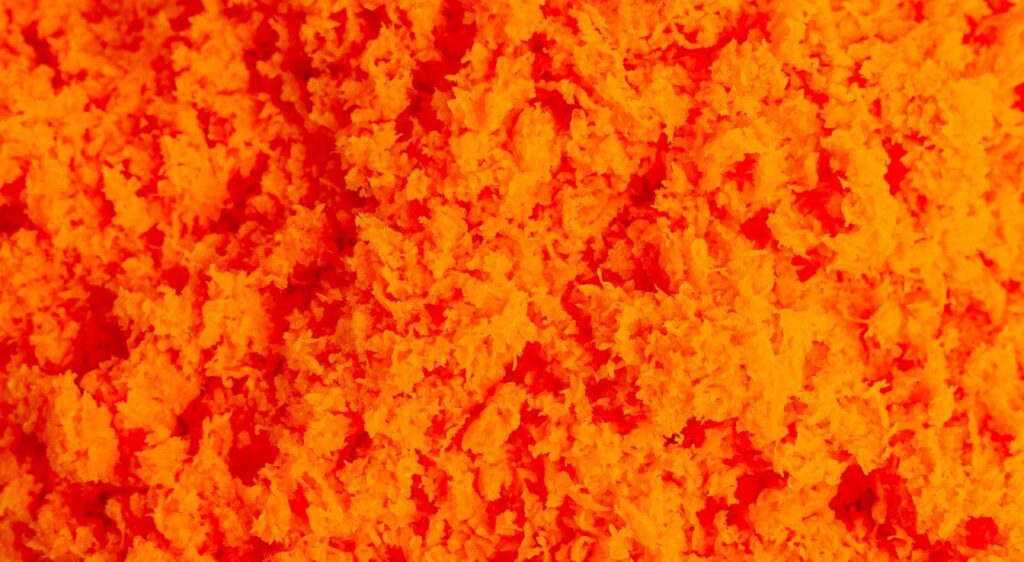 recette du gâteau aux carottes