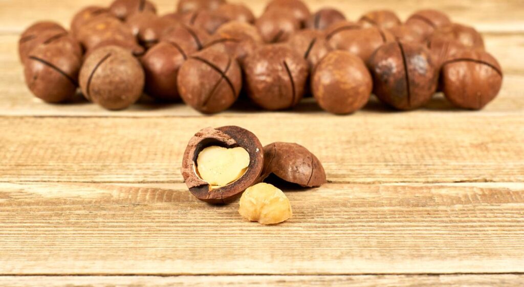 bienfaits de la noix de macadamia