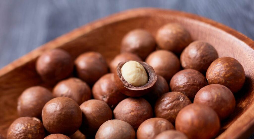 bienfaits noix de macadamia