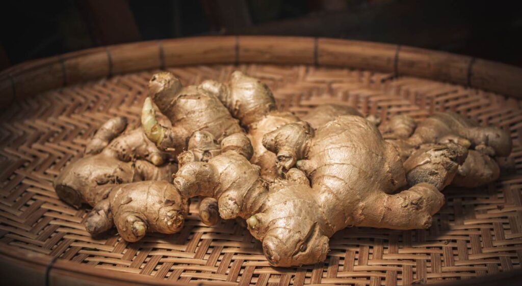 bienfaits du gingembre