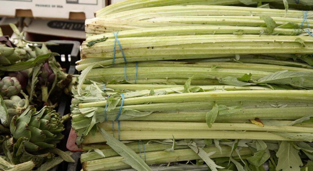 quels sont les bienfaits du cardon