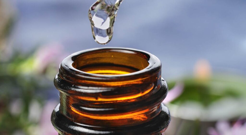 bienfait bourgeon de romarin