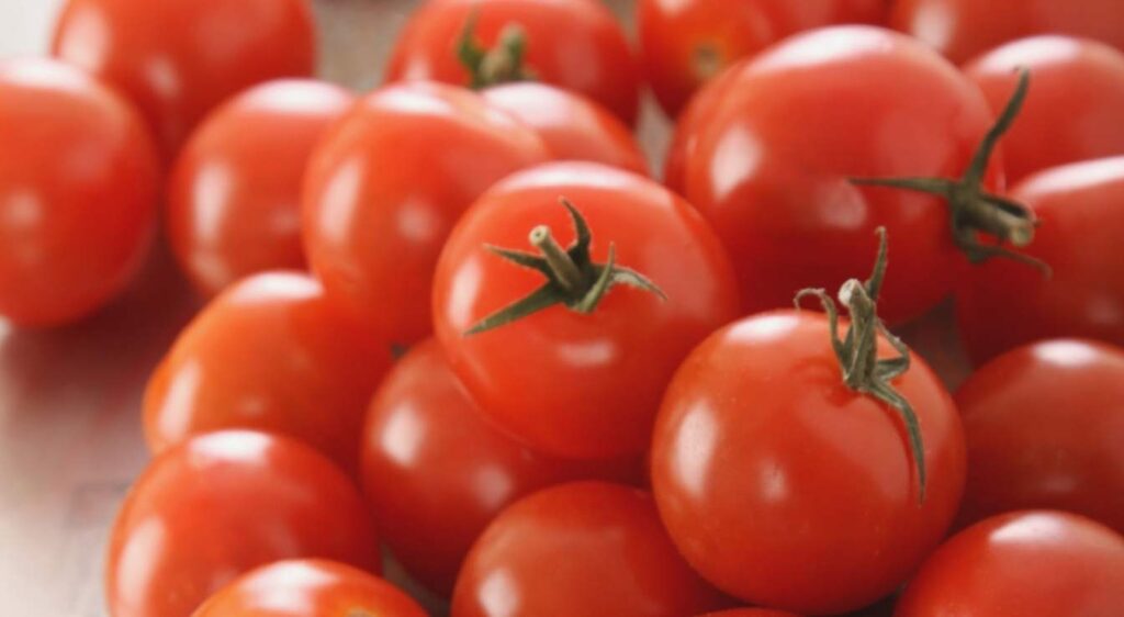 concentré de tomate