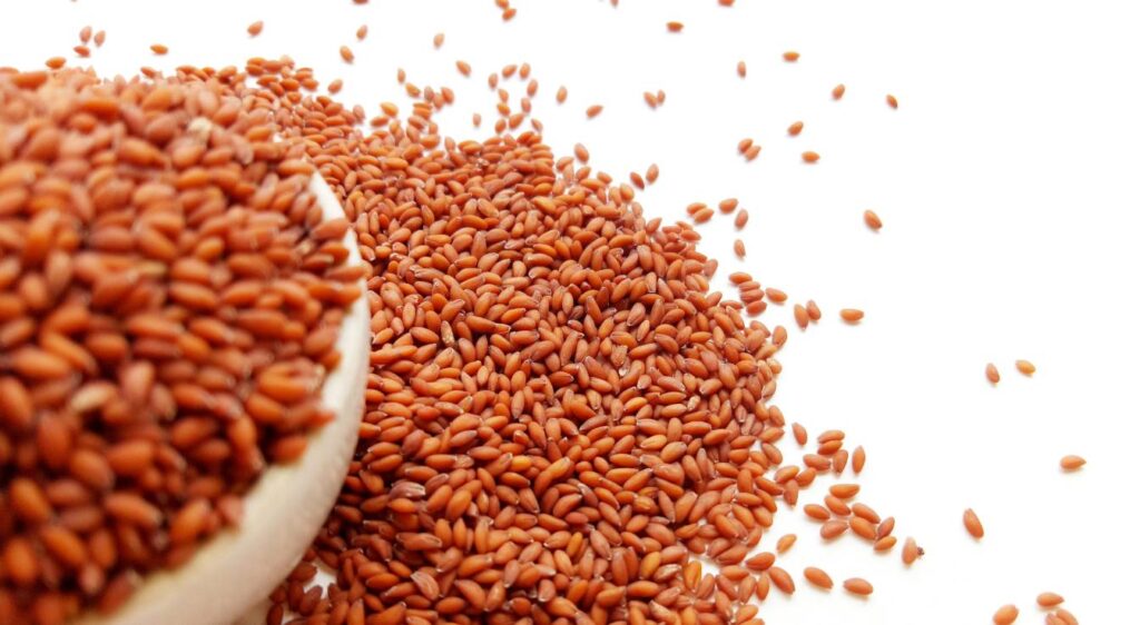 graine de cresson bienfaits