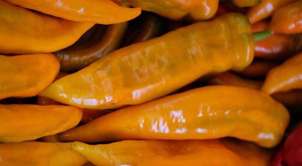 poivron au four grillé