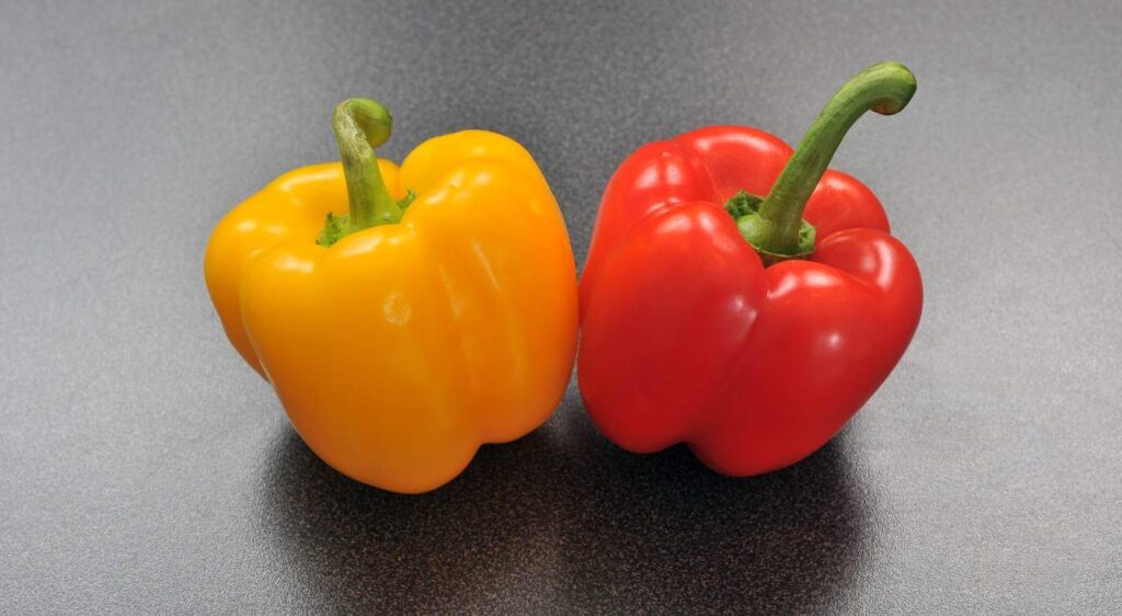 salade de poivrons grillés