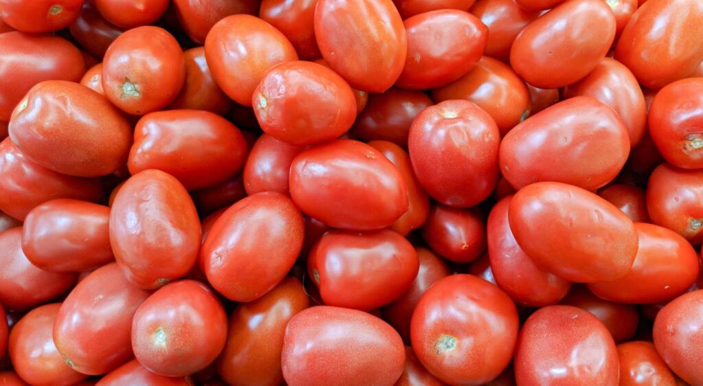 Tomates Roma